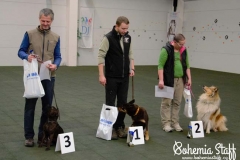 Arven Bohemia Staff obedience