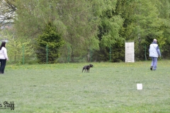 sportovní výcvik ZVV 2