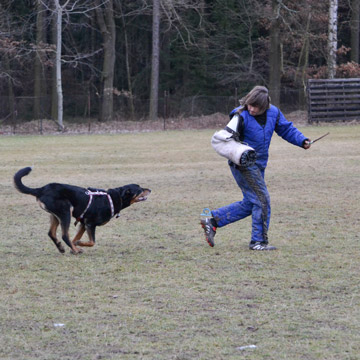 výcvik psů Praha